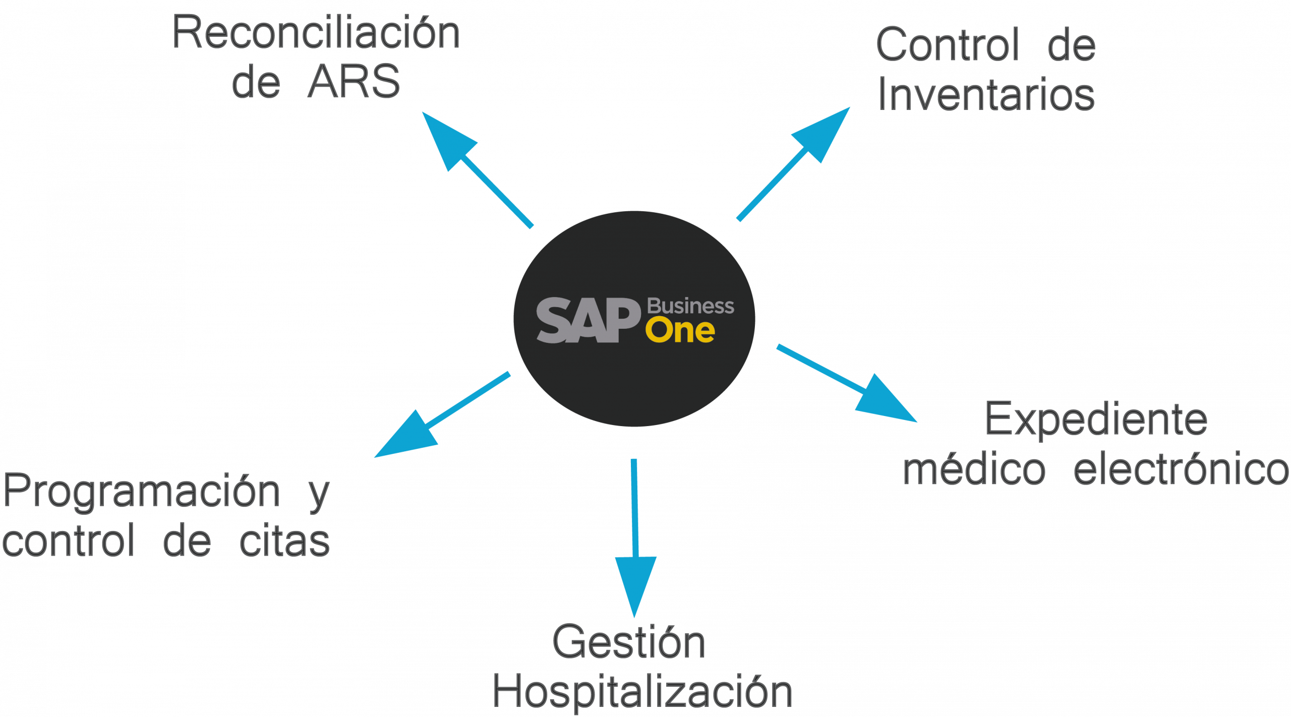 gráfico de los componentes de sap business one